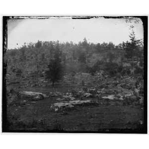  Civil War Reprint Gettysburg, Pa. View of Little Round Top 