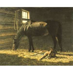  Tucker Smith   Foal