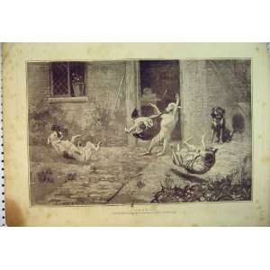  Water Colour Dogs Fighting Bird 1886 Stanley Berkley: Home 