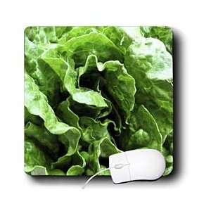    Florene Food And Beverage   Lettuce Be   Mouse Pads: Electronics