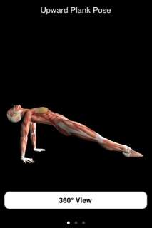112003884_app-store---anatomy-of-yoga---warrior-scale-upward-plank.jpg