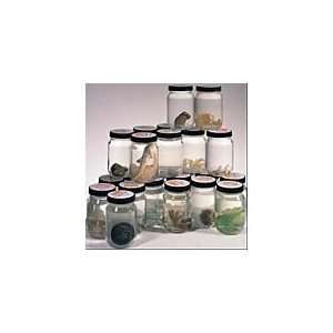  Marine Biome Jar Set Toys & Games