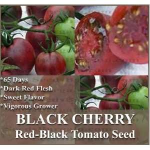 20 BLACK CHERRY Tomato seeds HEIRLOOM RARE SWEET ~vigorous 