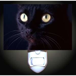   Midnight Black Cat Decorative Night Light: Home Improvement