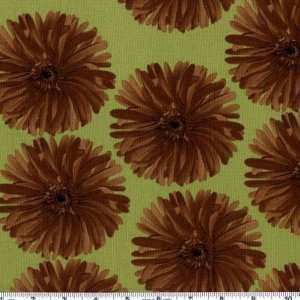  45 Wide Annabella Bliss Mink Green Fabric By The Yard 