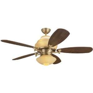 : Home Decorators Collection Eclectic St. Lawrence Ceiling Fan: Home 