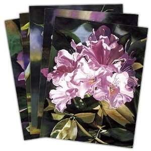  Full Bloom   Box Set of 12 Assorted Greeting Cards and 