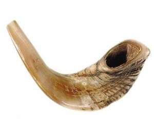 Rams Horn Shofar Large Size 15  17 Biblical Trumpet  