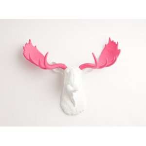    Faux Taxidermy  Animal Mounts  Trophy Taxidermy: Home & Kitchen