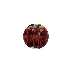  Irish Setter Puppy Dog 2 1in Button C0695: Everything Else