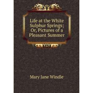   Springs; Or, Pictures of a Pleasant Summer Mary Jane Windle Books
