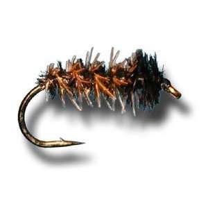  Cased Caddis Fly Fishing Fly: Sports & Outdoors