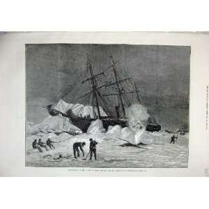  1876 Pandora Ice Melville Bay Sailing Ship Snow Art