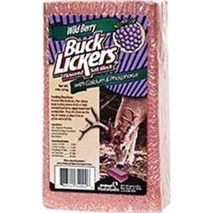  6 Pk. Wild Berry Buck Lickers Flavored Salt Block Sports 