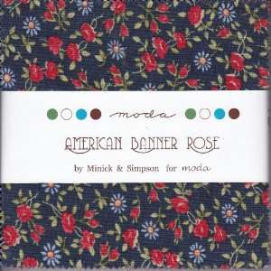   NEW American Banner Rose by Minnick and Simpson: Arts, Crafts & Sewing