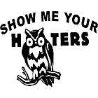 SHOW ME YOUR HOOTERS decal funny car truck 474434