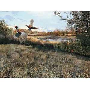  Scot Storm   Legacy   Pheasants Artists Proof