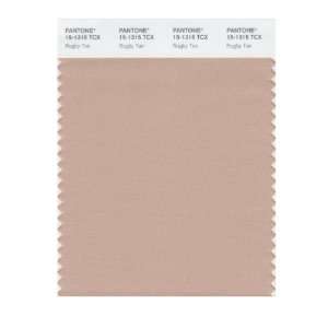   PANTONE SMART 15 1315X Color Swatch Card, Rugby Tan