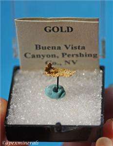 Native Gold Buena Vista Canyon, Pershing County, Nevada  