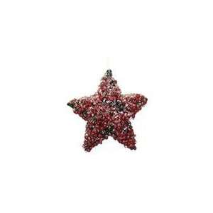  6 Icy Red Pepperberry Glitter Star Christmas Ornament 