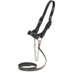    Flat Leather Halter   S (650 1000 lb calves): Sports & Outdoors