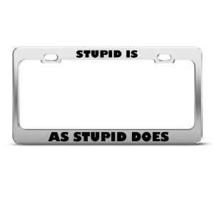  Stupid Isis Stupid Does Humor Funny Metal license plate 