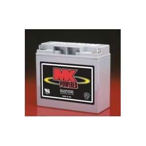  MK Battery M17 Sealed AGM Pair Battery: Health & Personal 