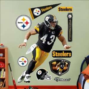   Pittsburgh Steelers Troy Polamalu Wall Graphic: Sports & Outdoors
