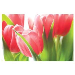  3ft x 5ft Decorative Flag   Tulips: Patio, Lawn & Garden