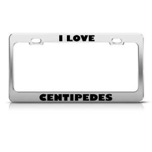 I Love Centipedes Centipede Animal Metal license plate 