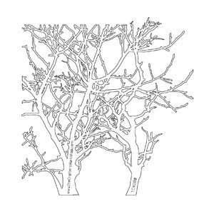  Crafters Workshop Templates 6X6 Branches; 3 Items/Order 