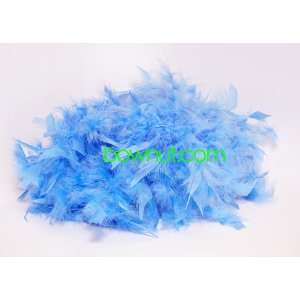   6ft  1.82m) Chandelle Feather Boa Trim (40g): Arts, Crafts & Sewing