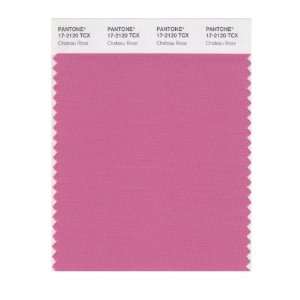  SMART 17 2120X Color Swatch Card, Chateau Rose