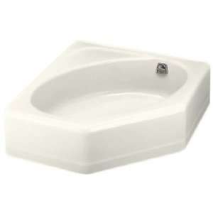   Iron Soaking Bath Tub with Right Hand Drain K 824: Home Improvement