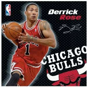  Lets Party By Amscan Chicago Bulls Derrick Rose Basketball 