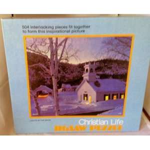  504 Piece Christian Life Lights in the Snow Puzzle: Toys 