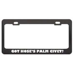 Got HoseS Palm Civet? Animals Pets Black Metal License Plate Frame 