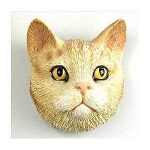  Orange Tabby Cat Magnet: Home & Kitchen
