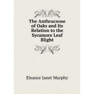   Its Relation to the Sycamore Leaf Blight Eleanor Janet Murphy Books