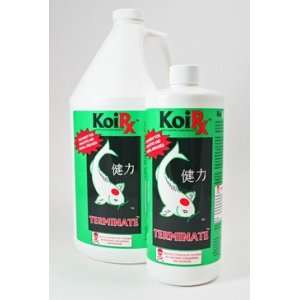  Koi Rx Terminate   For Fungal & Parasitic Control 1 gallon 