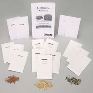 Marigold, Irradiated Seed Set, 5 Packs of 50  Industrial 