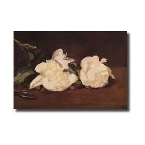   Of White Peonies And Secateurs 1864 Giclee Print