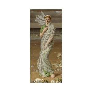  Sea Shells by Albert Joseph Moore. Size 6.79 inches width 