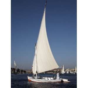  Felucca Sailing on the River Nile at Aswan, Egypt, North 