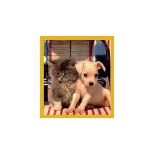 Magnetic Bookmark Lets Rock N Roll (Kitten & Puppy), Beautiful and 