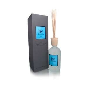   Botanicals AB Home Fragrance Diffuser Hydrangea (Discontinued): Beauty