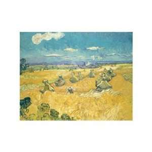   1888 Finest LAMINATED Print Vincent Van Gogh 14x11: Home & Kitchen