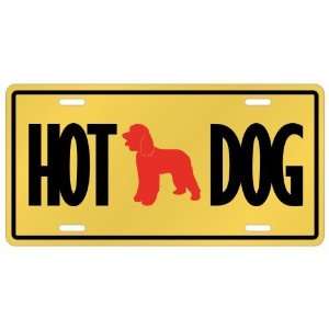    Irish Water Spaniel   Hot Dog  License Plate Dog