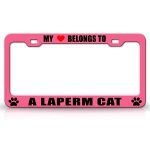  MY HEART BELONGS TO A LAPERM Cat Pet Auto License Plate 