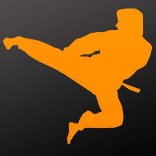 Karate kick Decal Sticker Martial Fighting Art ZK9RS  
